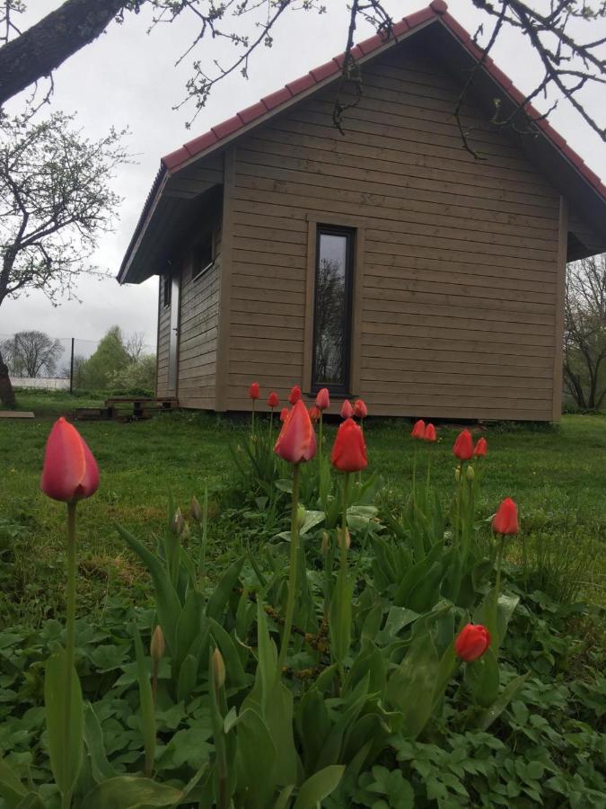 Holiday House Ausekla Namins Cēsis Eksteriør bilde
